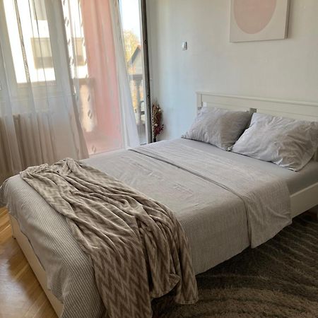Nikola Ns2 Daire Novi Sad Dış mekan fotoğraf