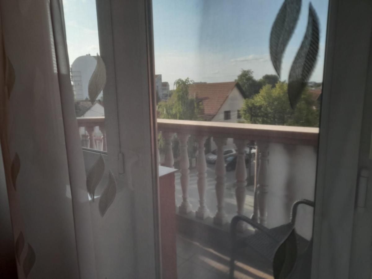 Nikola Ns2 Daire Novi Sad Dış mekan fotoğraf